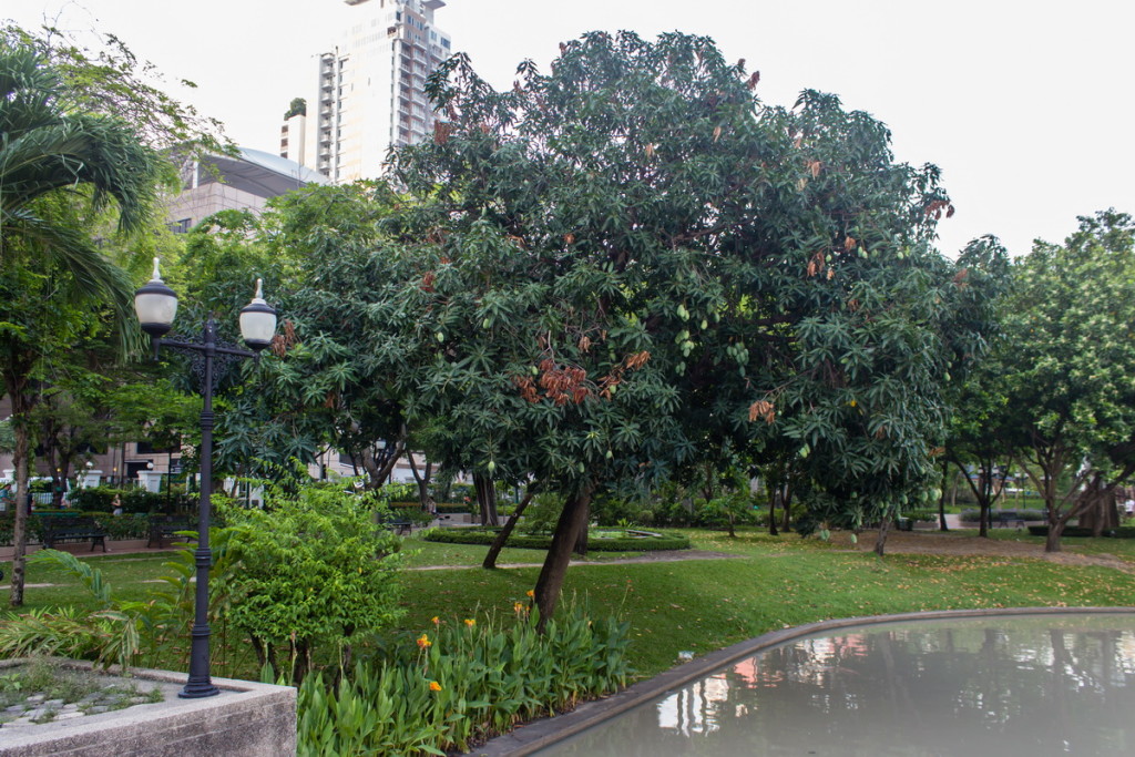 Парк Бангкок недалеко от метро